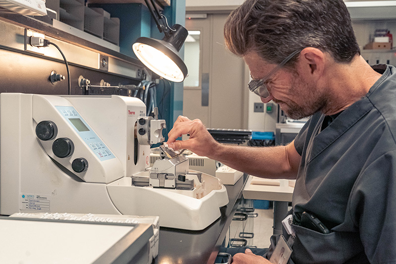 Histotechnologist Jon Langworthy gathering samples in the lab
