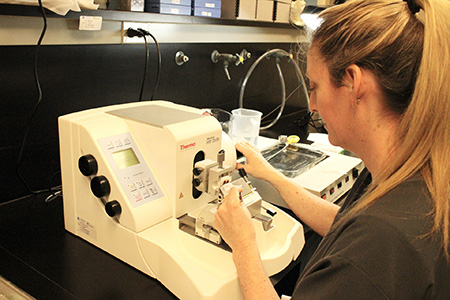 Histo Lab